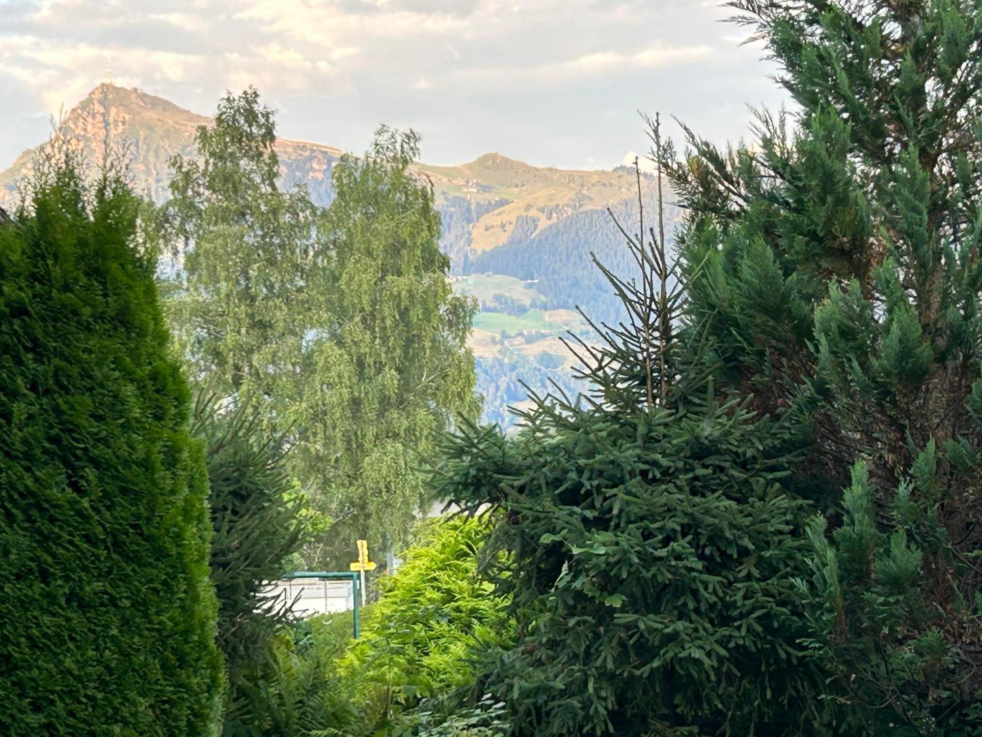 Fleckalm Chalets Kirchberg in Tirol Esterno foto