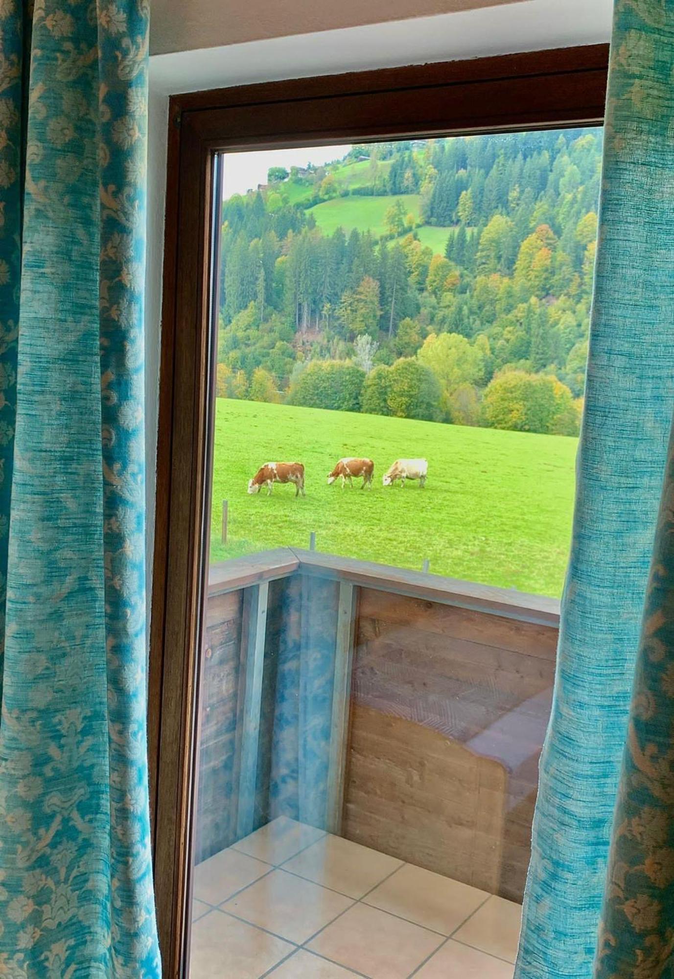 Fleckalm Chalets Kirchberg in Tirol Camera foto